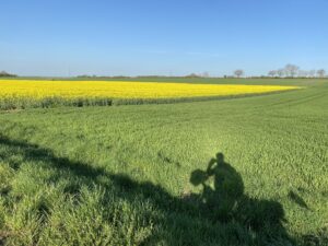 Der Schatten Pilger
