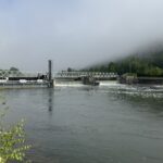 IMG_0742